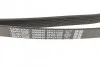 Ремінь П-клиновий Dayco DAYCO 6PK2150S (фото 3)