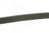 Ремень приводной поликлиновый DAYCO 6PK2160 (фото 2)