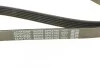 Ремень приводной поликлиновый DAYCO 6PK2160 (фото 4)