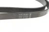 Ремінь приводний полікліновий Dayco DAYCO 6PK2170 (фото 3)