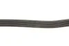 Ремень приводной поликлиновый Dayco DAYCO 6PK2210 (фото 3)