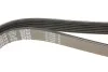 Ремень приводной поликлиновый Dayco DAYCO 6PK2210 (фото 4)
