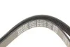 Ремень приводной поликлиновый Dayco DAYCO 6PK2210 (фото 5)