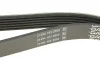 Ремінь поліклиновий (Ви-во) DAYCO 6PK2220K (фото 3)