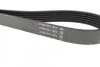 Ремень приводной поликлиновый DAYCO 6PK2240 (фото 2)