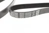 Ремень приводной поликлиновый DAYCO 6PK2240 (фото 3)