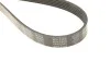 Ремень приводной поликлиновый DAYCO 6PK2300 (фото 4)