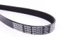 Ремень приводной поликлиновый Dayco DAYCO 6PK2310 (фото 2)