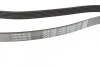 Ремень приводной поликлиновый DAYCO 6PK2325 (фото 2)