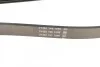 Ремінь приводний полікліновий DAYCO 6PK2345 (фото 3)