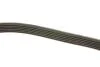 Ремень приводной поликлиновый Dayco DAYCO 6PK2400 (фото 3)