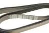 Ремень приводной поликлиновый Dayco DAYCO 6PK2400 (фото 5)