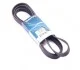 Ремінь П-клиновий Dayco DAYCO 6PK2404 (фото 1)