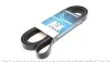 Ремень приводной поликлиновый Dayco DAYCO 6PK2475 (фото 1)