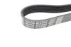 Ремень приводной поликлиновый Dayco DAYCO 6PK2605 (фото 2)