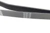 Ремень приводной поликлиновый Dayco DAYCO 6PK2605 (фото 3)