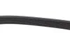 Ремень приводной поликлиновый Dayco DAYCO 6PK2605 (фото 4)