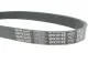 Ремень поликлиновый (выр-во) DAYCO 6PK701EE (фото 4)