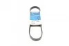 Ремень приводной поликлиновый Dayco DAYCO 6PK831EE (фото 1)