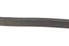 Ремень приводной поликлиновый Dayco DAYCO 6PK831EE (фото 3)