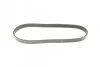 Ремень приводной поликлиновый Dayco DAYCO 6PK831EE (фото 4)