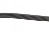 Ремень приводной поликлиновый DAYCO 6PK850 (фото 2)