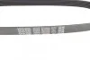 Ремень приводной поликлиновый DAYCO 6PK850 (фото 4)