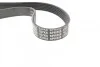 Ремень приводной поликлиновый Dayco DAYCO 6PK858 (фото 2)