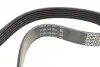 Ремень приводной поликлиновый Dayco DAYCO 6PK858 (фото 3)