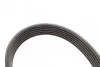 Ремень приводной поликлиновый Dayco DAYCO 6PK858 (фото 4)