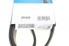 Ремень приводной поликлиновый Dayco DAYCO 6PK858 (фото 6)