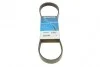 Ремень приводной поликлиновый Dayco DAYCO 6PK873EE (фото 1)