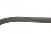 Ремень приводной поликлиновый Dayco DAYCO 6PK873EE (фото 2)