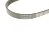 Ремень приводной поликлиновый Dayco DAYCO 6PK873EE (фото 3)