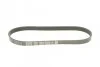 Ремень приводной поликлиновый Dayco DAYCO 6PK873EE (фото 5)