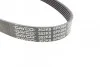 Ремень приводной поликлиновый Dayco DAYCO 6PK894 (фото 2)