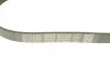 Ремінь приводний полікліновий Dayco DAYCO 6PK900 (фото 3)