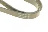 Ремень генератора DAYCO 6PK902S (фото 4)