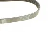 Ремень приводной поликлиновый Dayco DAYCO 6PK906 (фото 3)