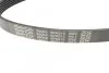Пасок поліклиновий DAYCO 6PK915 (фото 2)