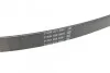Пасок поліклиновий DAYCO 6PK915 (фото 3)