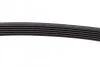 Пасок поліклиновий DAYCO 6PK915 (фото 4)