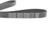 Ремінь П-клиновий Dayco DAYCO 6PK962S (фото 3)