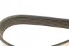 Ремень приводной поликлиновый DAYCO 7PK1085S (фото 4)