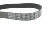 Ремінь П-клиновий Dayco DAYCO 7PK1550 (фото 4)