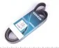 Ремінь П-клиновий Dayco DAYCO 7PK1605 (фото 1)