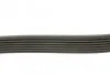 Ремень приводной поликлиновый Dayco DAYCO 7PK1790 (фото 2)