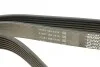 Ремень приводной поликлиновый Dayco DAYCO 7PK1790 (фото 3)