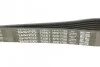 Ремень приводной поликлиновый Dayco DAYCO 7PK1790 (фото 4)