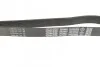 Ремень приводной поликлиновый DAYCO 7PK2035S (фото 2)
